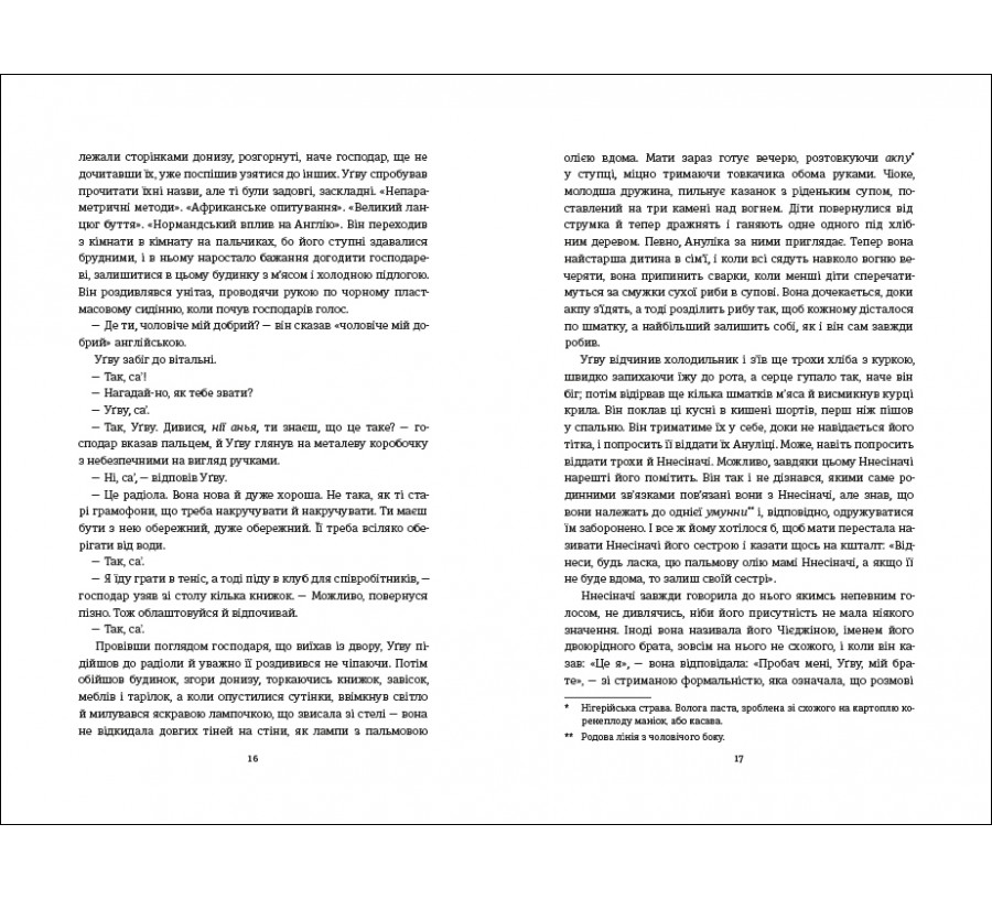 Книга Половина жовтого сонця - Фото 7