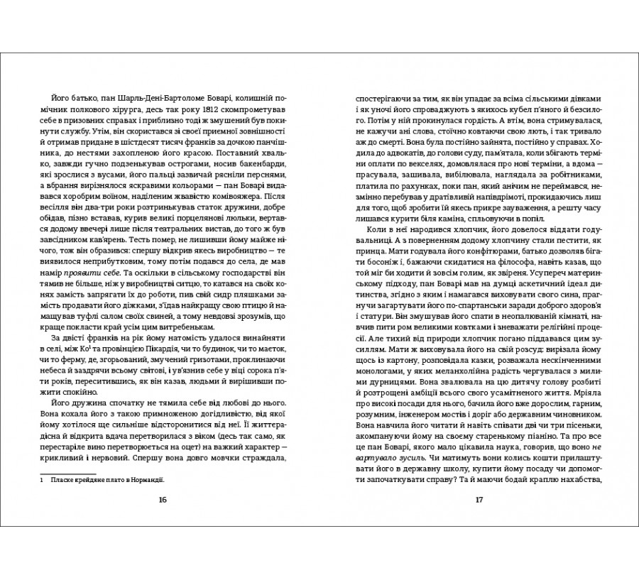 Книга Пані Боварі. З життя провінції - Фото 6