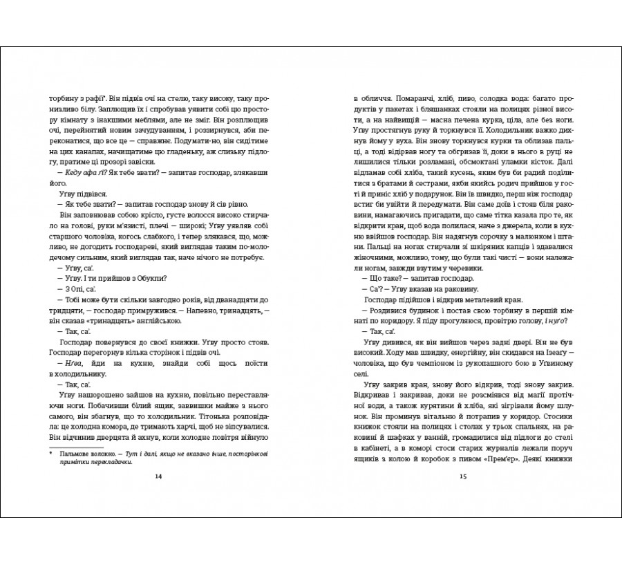 Книга Половина жовтого сонця - Фото 6