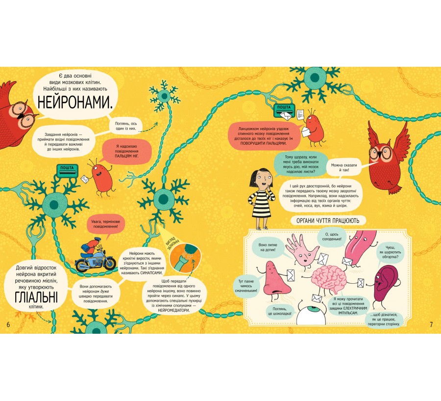 Книга Книжка про мозок і те, як він працює - Фото 5