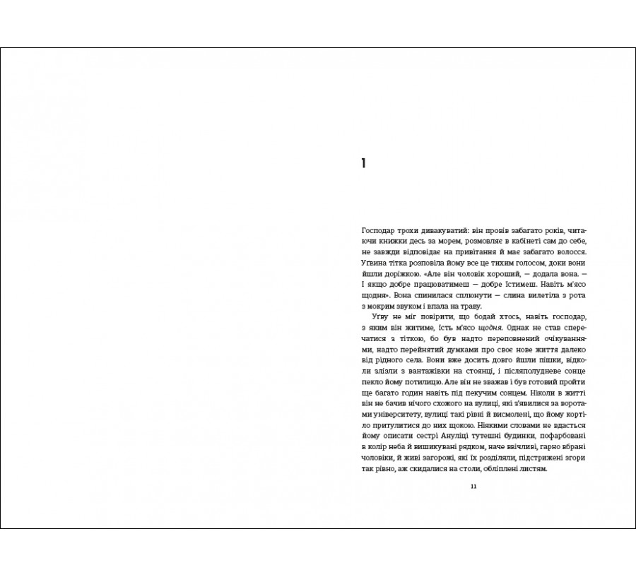 Книга Половина жовтого сонця - Фото 4