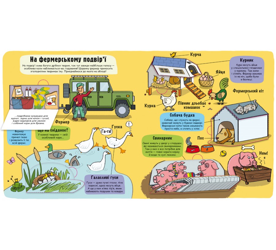 Книга Маленькі дослідники: Ферма - Фото 4