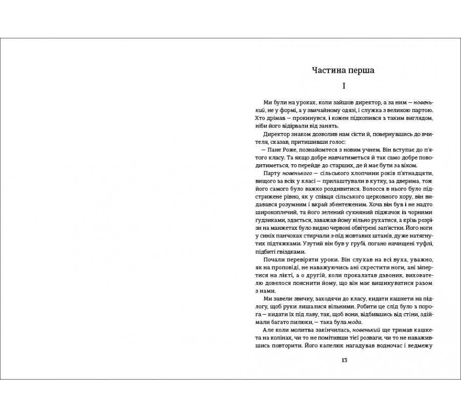 Книга Пані Боварі. З життя провінції - Фото 4