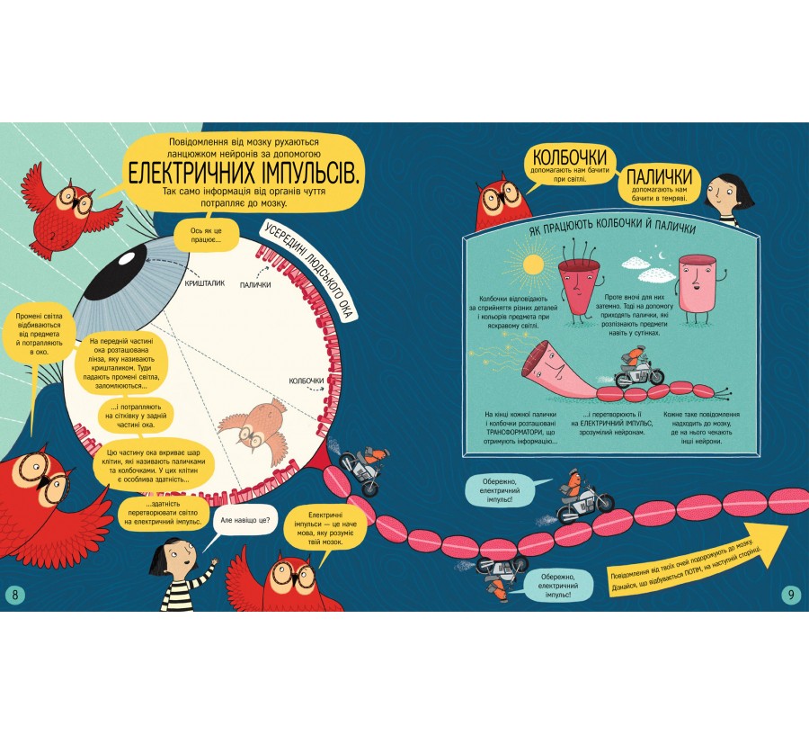 Книга Книжка про мозок і те, як він працює - Фото 6