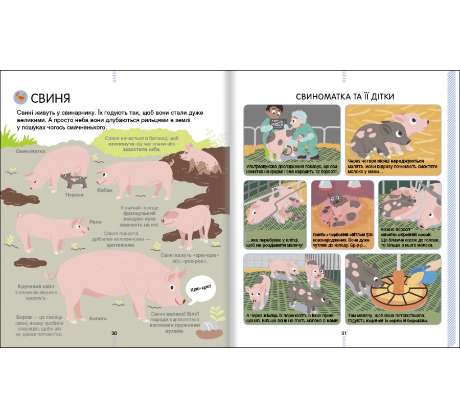 Книга На фермі. Енциклопедія для допитливих - Фото 6