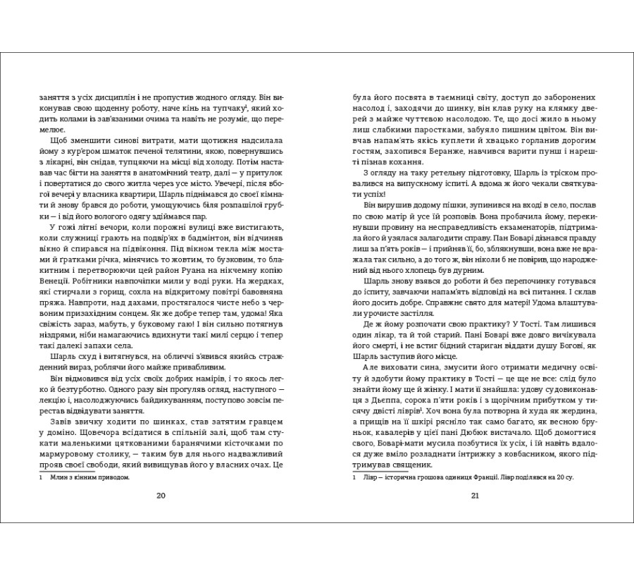 Книга Пані Боварі. З життя провінції - Фото 8