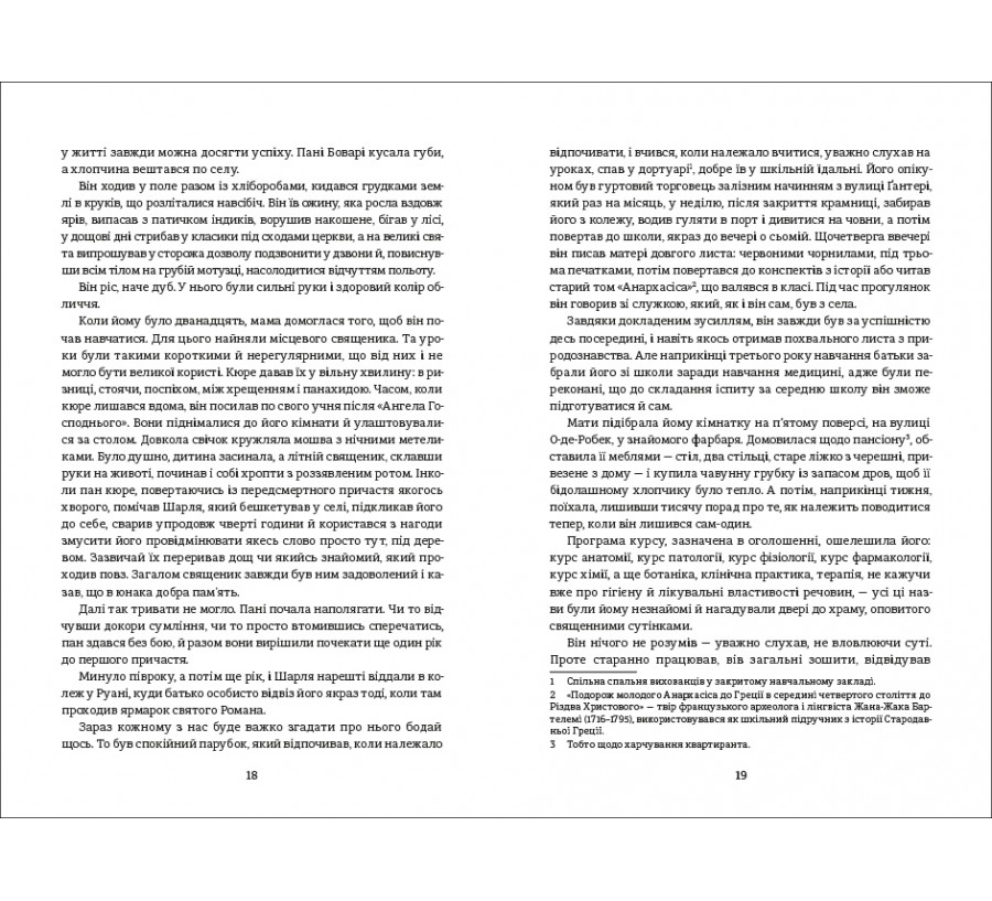 Книга Пані Боварі. З життя провінції - Фото 7