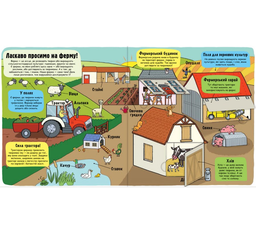 Книга Маленькі дослідники: Ферма - Фото 3