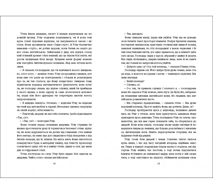 Книга Половина жовтого сонця - Фото 5