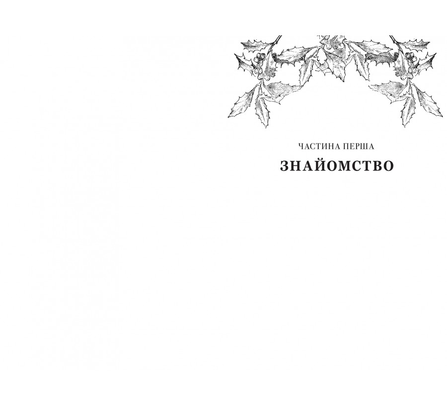 Книга 12 вбивчих днів - Фото 3