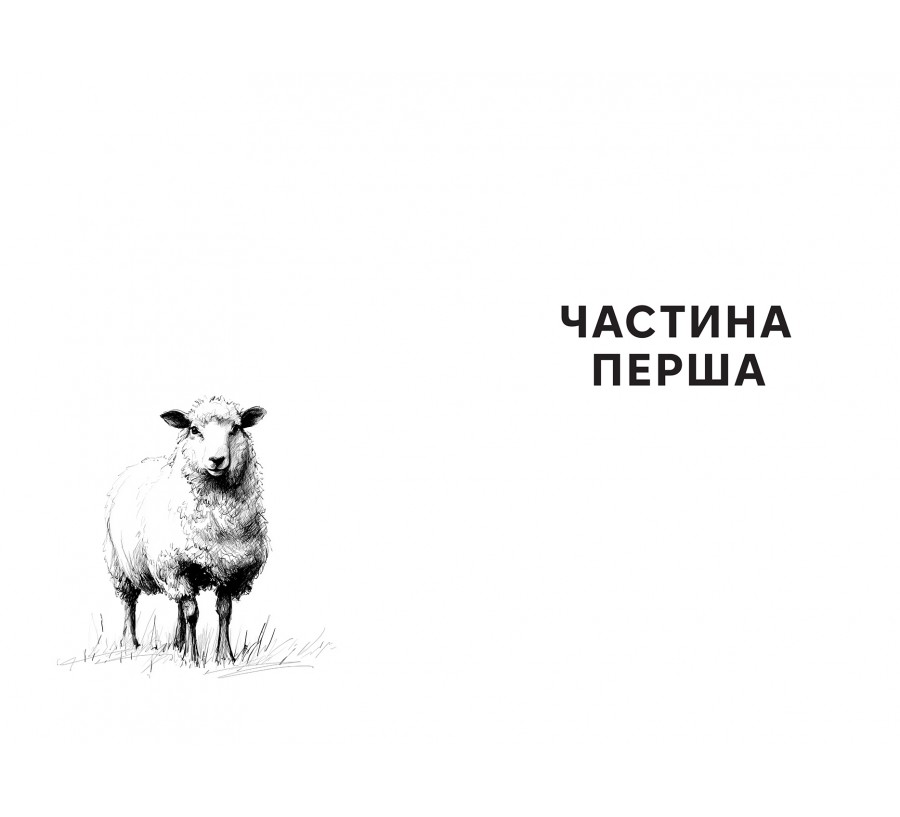 Відпустка наосліп - Фото 6