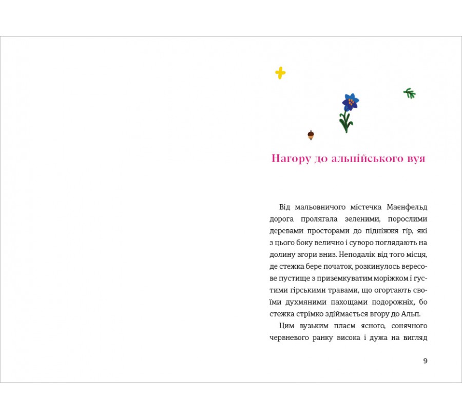 Книга Роки навчання та мандрів Гайді - Фото 4