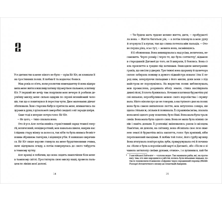 Вашингтон Блек - Фото 6