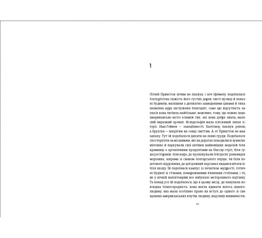 Книга Американа - Фото 5