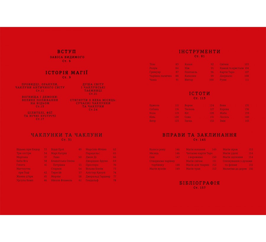 Книга Чарівники й чаклунки: посібник із магії для початківців - Фото 4