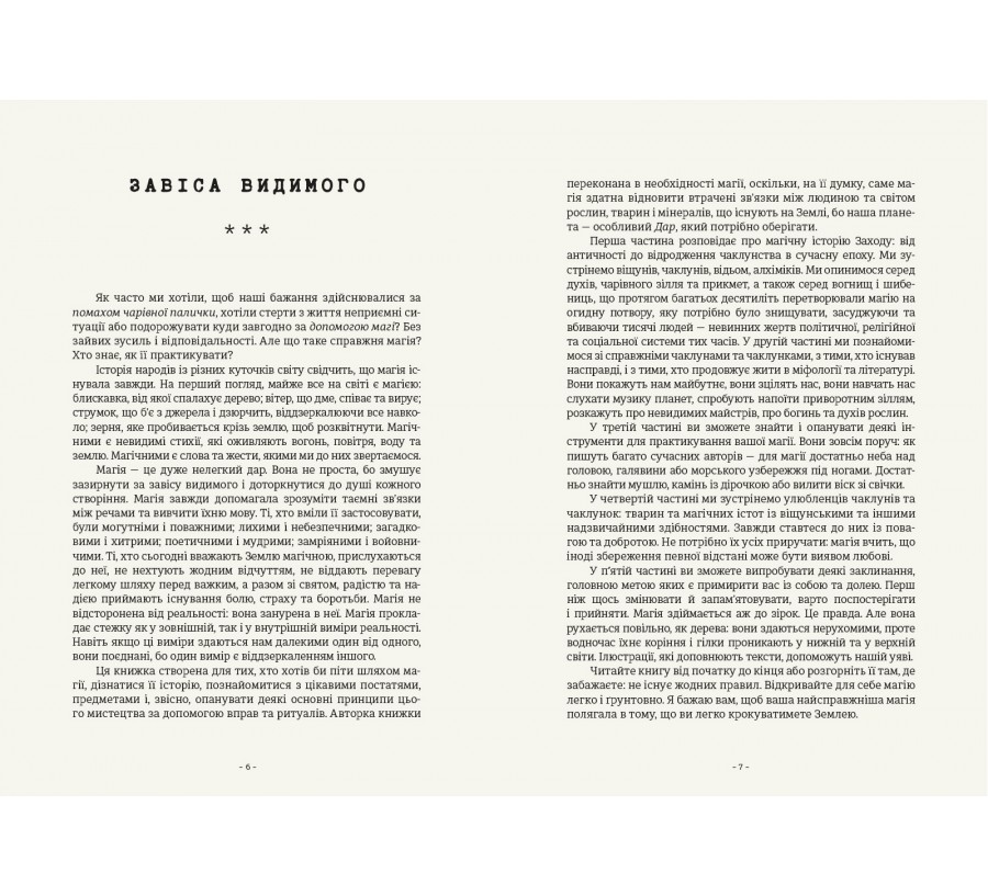 Книга Чарівники й чаклунки: посібник із магії для початківців - Фото 5