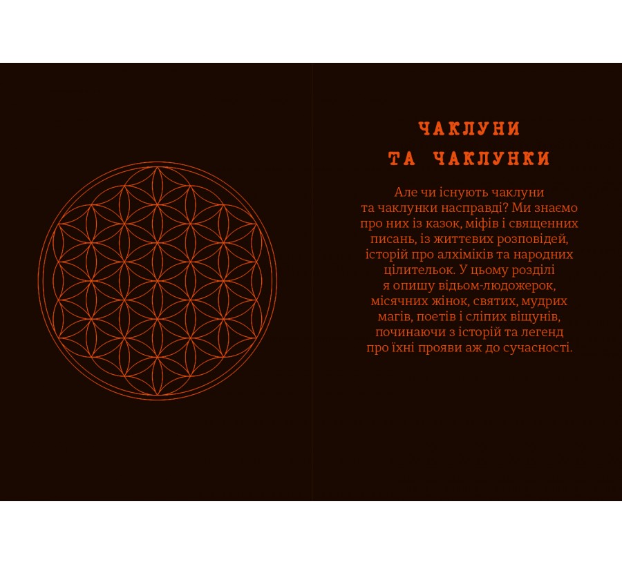 Книга Чарівники й чаклунки: посібник із магії для початківців - Фото 6