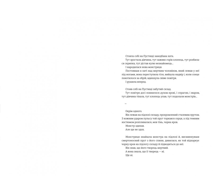 Книга Дует наш темний - Фото 6