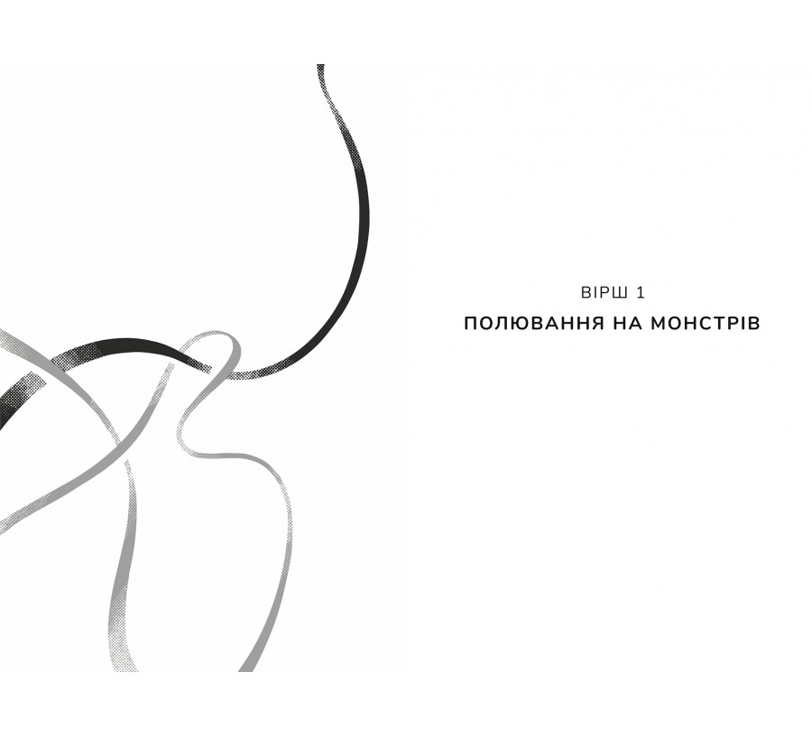 Книга Дует наш темний - Фото 5